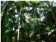 Ravensbourne QLD 4352