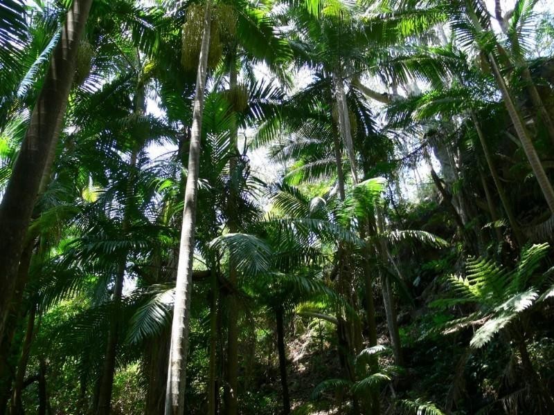 Ravensbourne QLD 4352