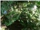 Ravensbourne QLD 4352