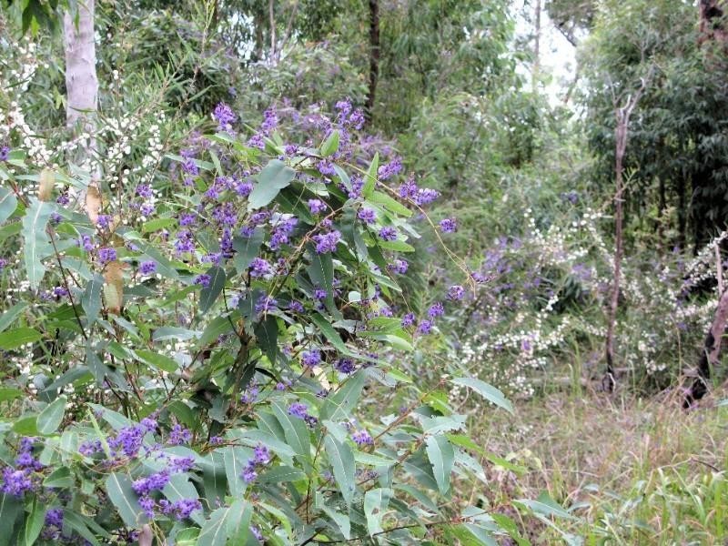 Ravensbourne QLD 4352