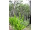 Ravensbourne QLD 4352