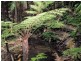 Ravensbourne QLD 4352