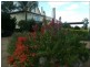 110 Greenhills Drive, Blackbutt QLD 4306