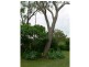 Esk QLD 4312