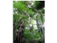 Ravensbourne QLD 4352