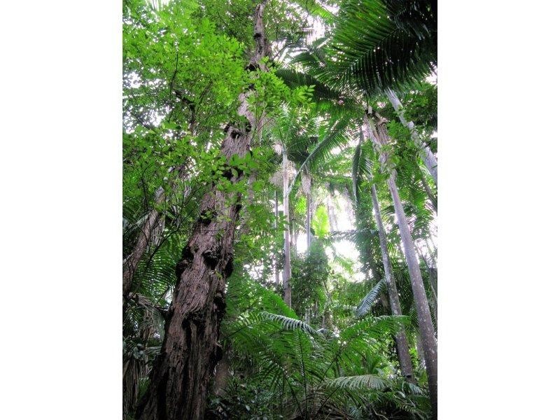 Ravensbourne QLD 4352