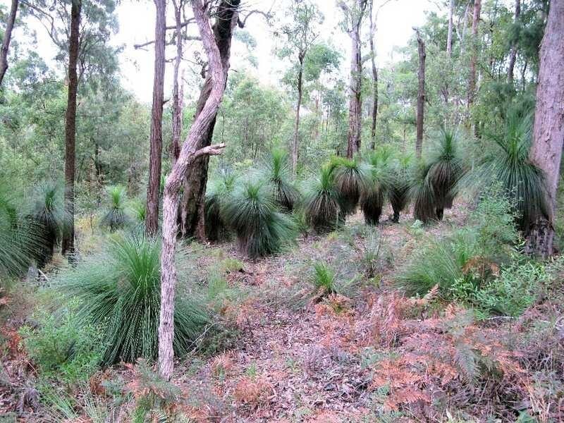 Ravensbourne QLD 4352