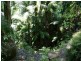 Ravensbourne QLD 4352