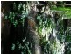 Ravensbourne QLD 4352