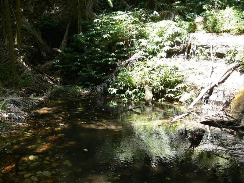 Ravensbourne QLD 4352