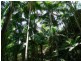 Ravensbourne QLD 4352