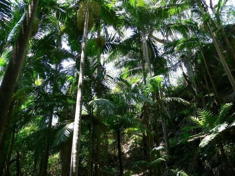 Ravensbourne QLD 4352