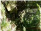 Ravensbourne QLD 4352