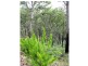 Ravensbourne QLD 4352