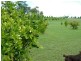 Mount Hallen QLD 4312