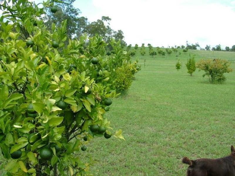Mount Hallen QLD 4312