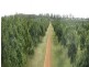 Mount Binga QLD 4306