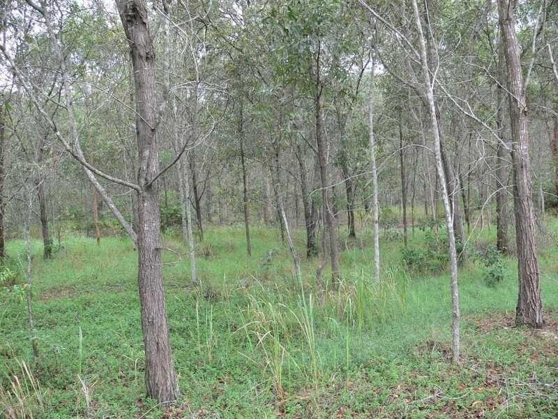 Mount Hallen QLD 4312