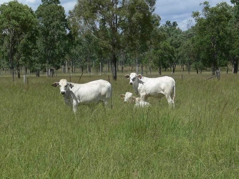 Toogoolawah QLD 4313