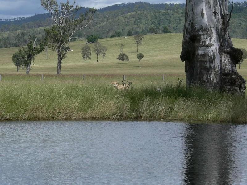 Toogoolawah QLD 4313