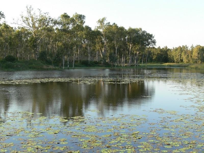 Atkinsons Dam QLD 4311