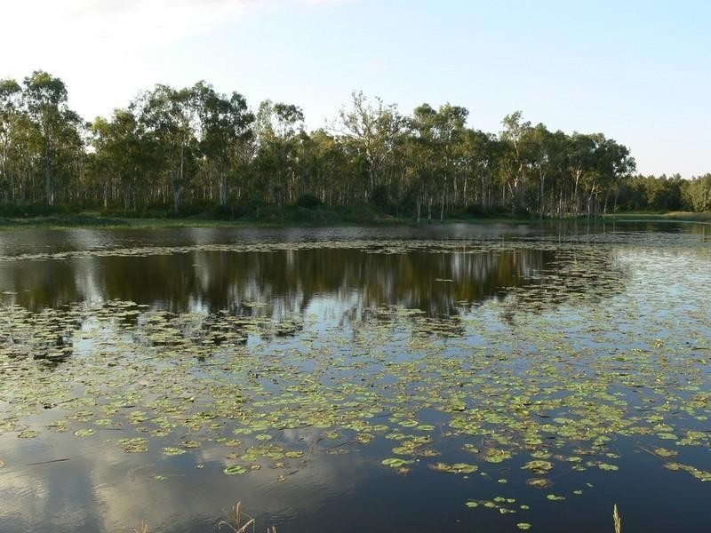 Atkinsons Dam QLD 4311