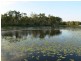 Atkinsons Dam QLD 4311