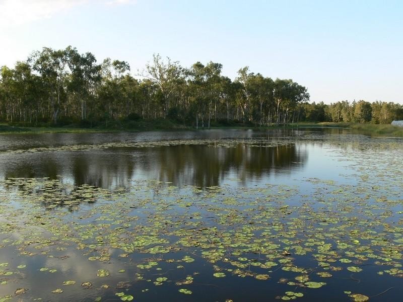 Atkinsons Dam QLD 4311