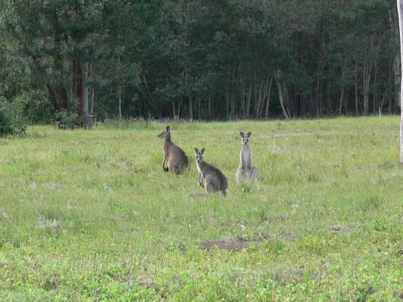 Mount Hallen QLD 4312