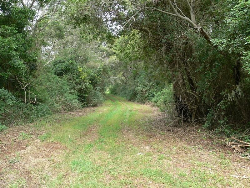 Ravensbourne QLD 4352
