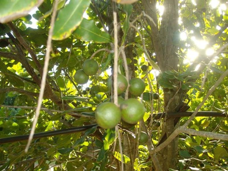 Lot 24 Blackbutt Crows Nest Road, Blackbutt QLD 4306