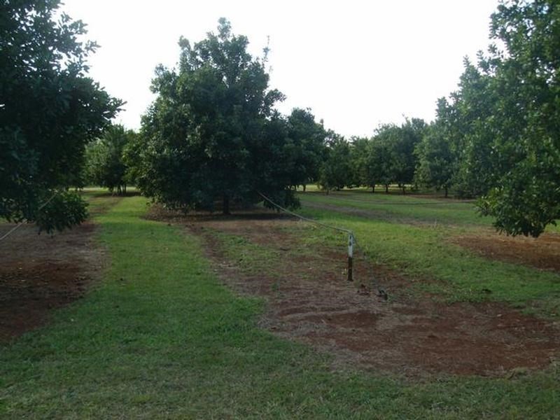 Lot 24 Blackbutt Crows Nest Road, Blackbutt QLD 4306