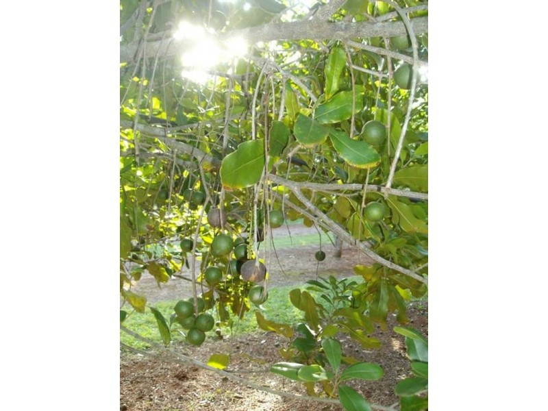 Lot 24 Blackbutt Crows Nest Road, Blackbutt QLD 4306