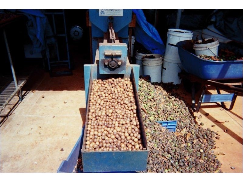 Lot 24 Blackbutt Crows Nest Road, Blackbutt QLD 4306