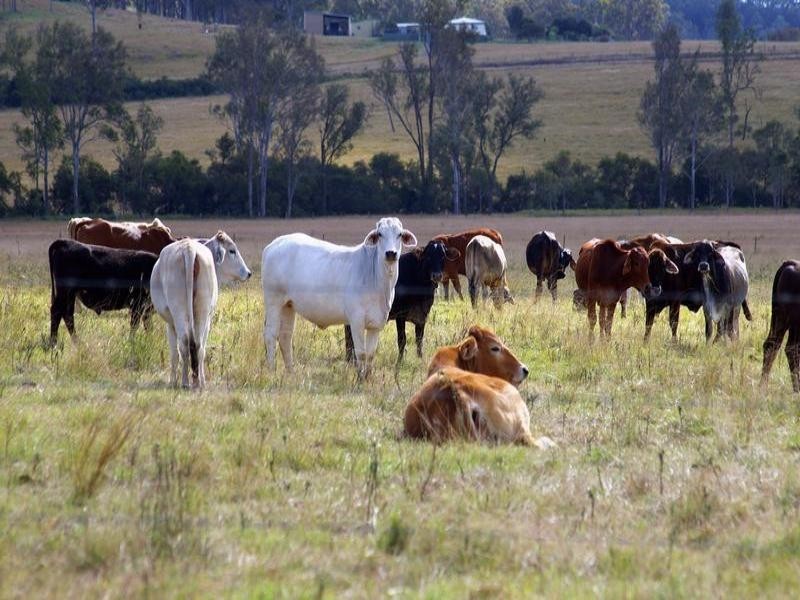 Esk QLD 4312