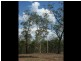 Esk QLD 4312