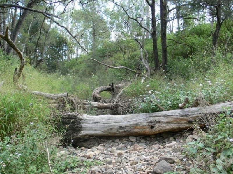 Biarra QLD 4313