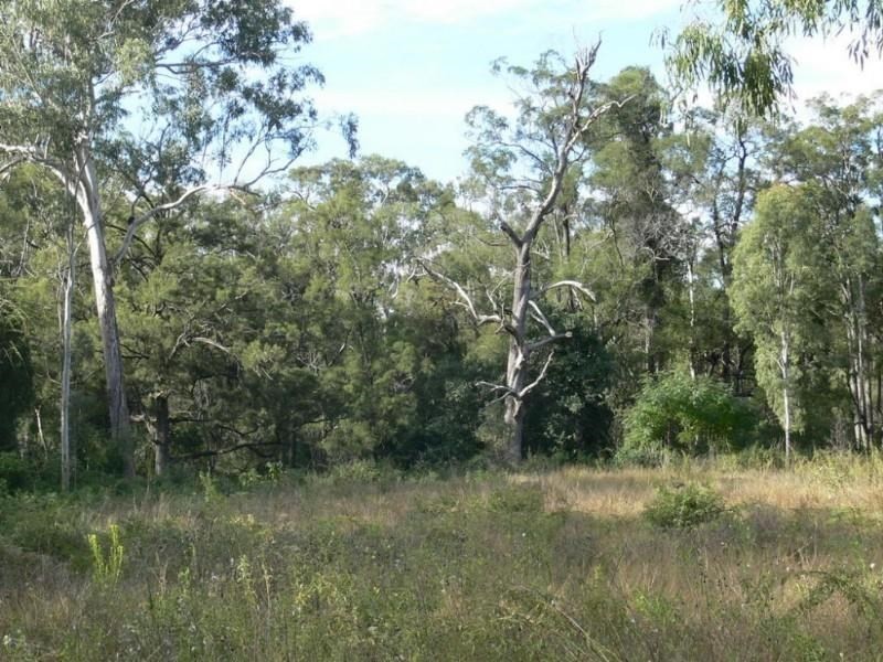 Biarra QLD 4313