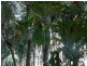 Esk QLD 4312