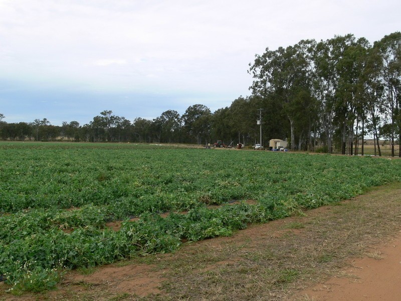 Lowood QLD 4311