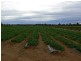 Lowood QLD 4311