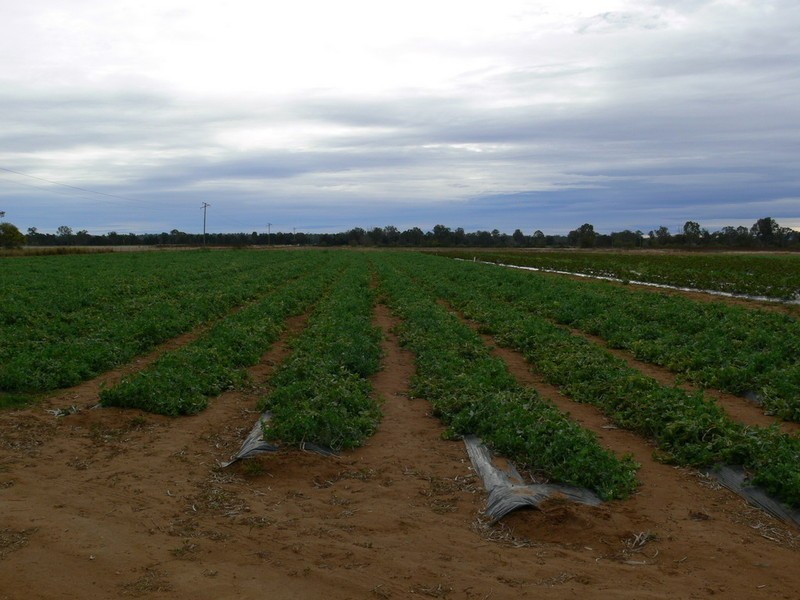 Lowood QLD 4311