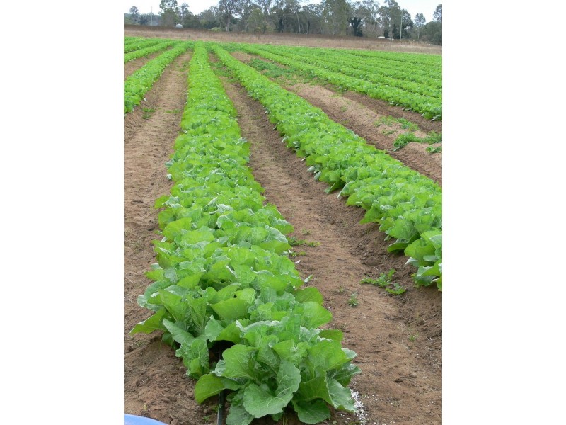 Lowood QLD 4311