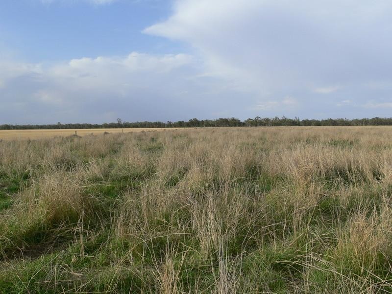 Goondiwindi QLD 4390