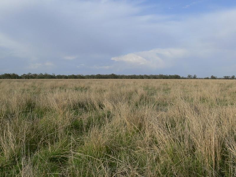 Goondiwindi QLD 4390