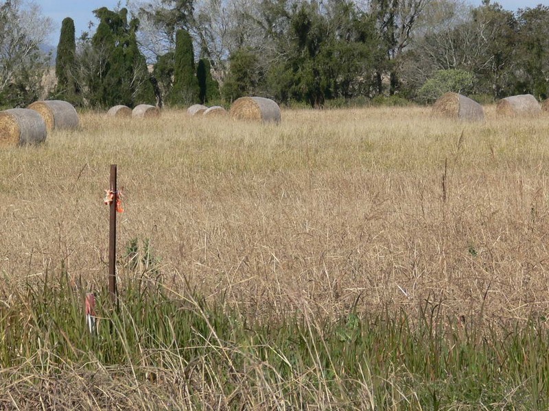 Mount Beppo QLD 4313