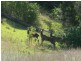 Esk QLD 4312