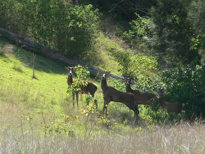 Esk QLD 4312