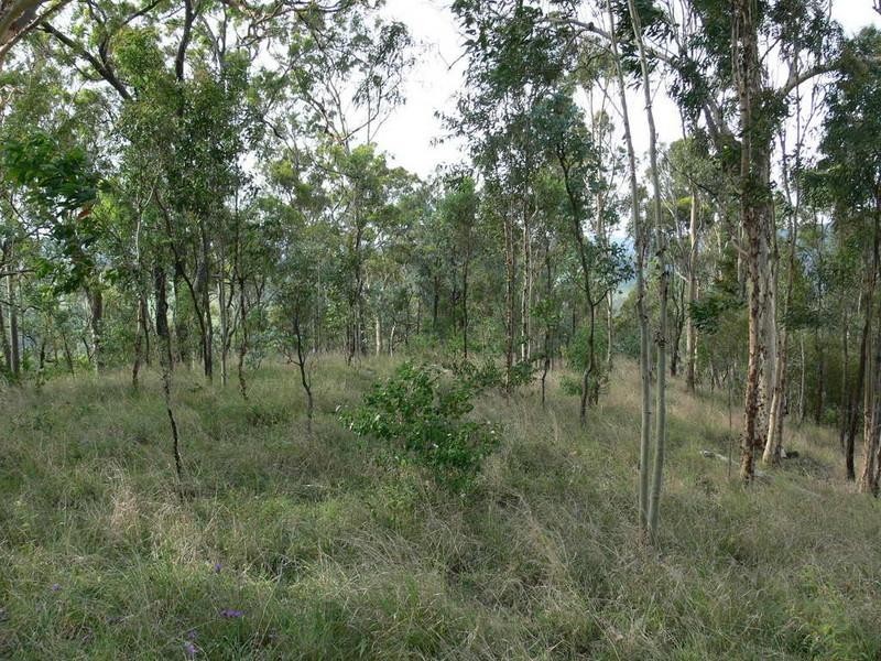 Mount Byron QLD 4312