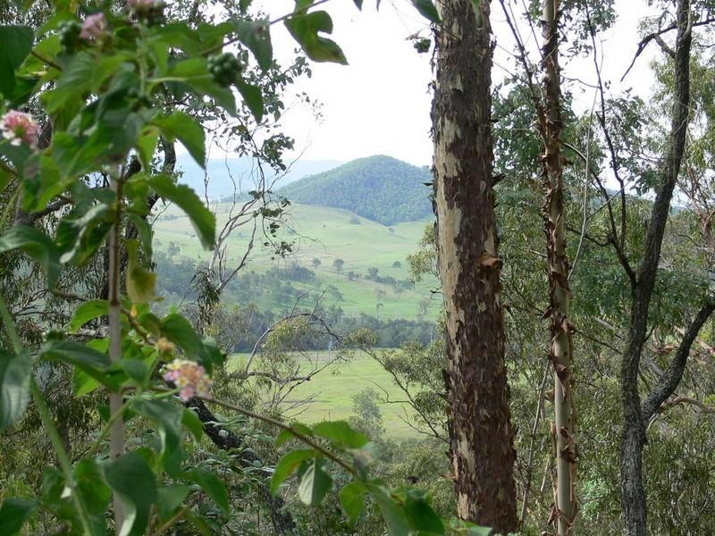 Mount Byron QLD 4312